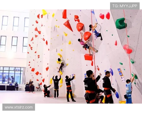 杭州攀岩队协作能力分析及其对比赛成绩的影响研究